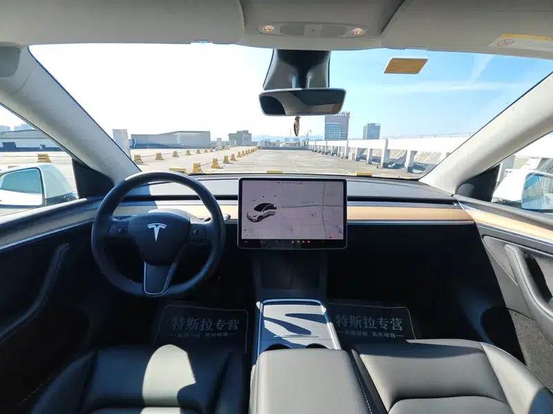 Model Y 2021 Standard Range Rear-Wheel Drive — миниатюра 10