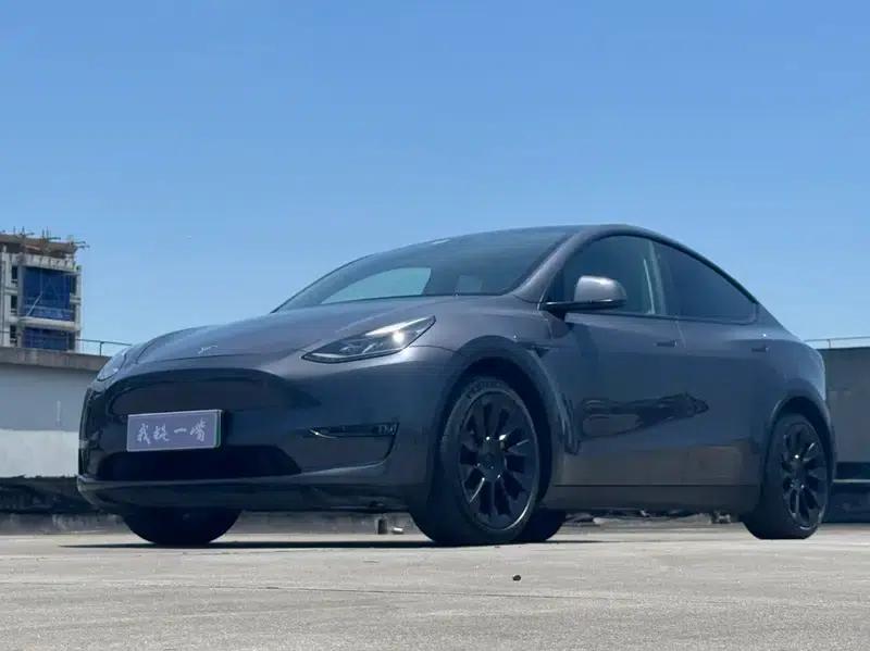 Model Y 2021 Long Range All-Wheel Drive — миниатюра 1