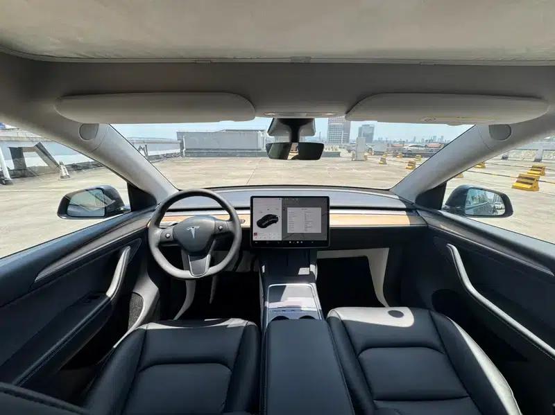 Model Y 2021 Long Range All-Wheel Drive — миниатюра 11