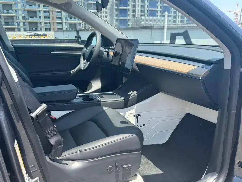 Model Y 2021 Long Range All-Wheel Drive — миниатюра 12