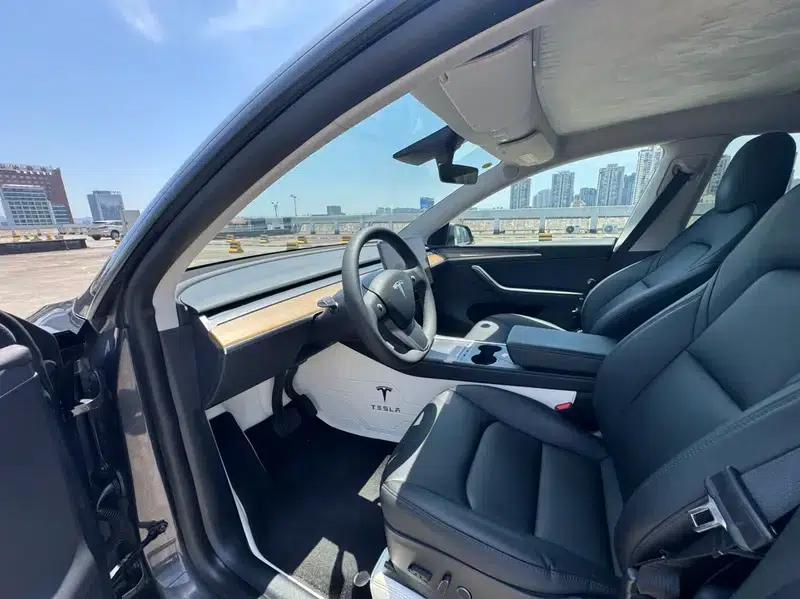 Model Y 2021 Long Range All-Wheel Drive — миниатюра 13
