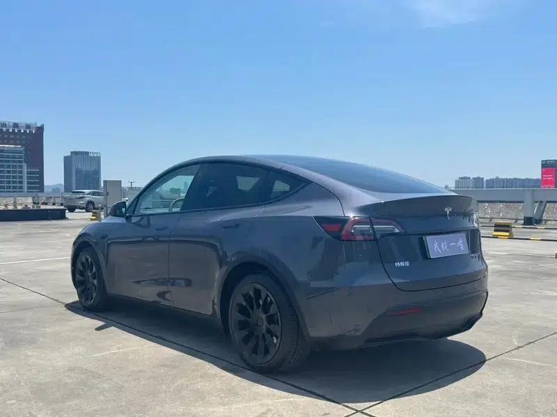 Model Y 2021 Long Range All-Wheel Drive — миниатюра 4