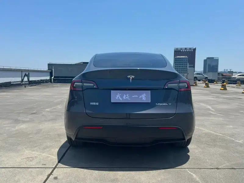 Model Y 2021 Long Range All-Wheel Drive — миниатюра 5