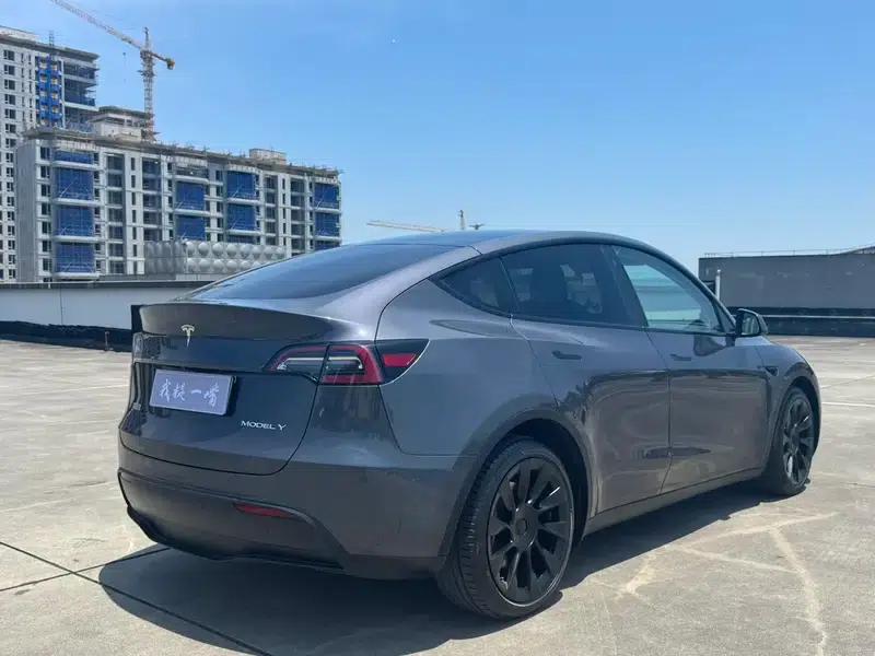 Model Y 2021 Long Range All-Wheel Drive — миниатюра 6