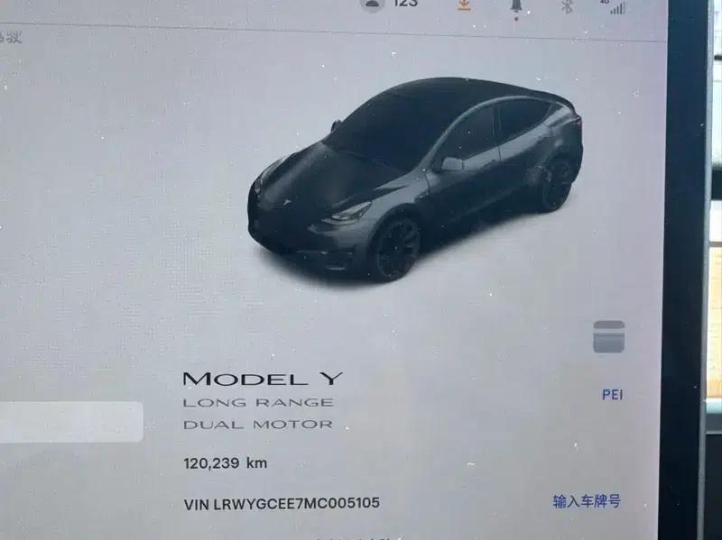 Model Y 2021 Long Range All-Wheel Drive — миниатюра 7