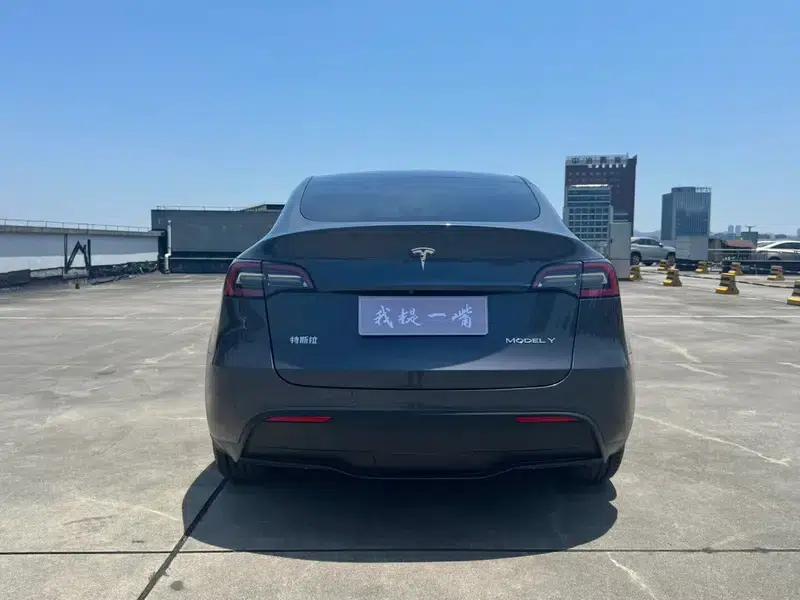 Model Y 2021 Long Range All-Wheel Drive — миниатюра 10