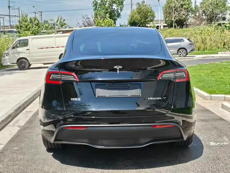 Model Y 2023 Rear-Wheel Drive — миниатюра 5