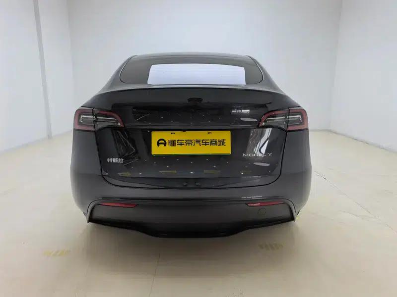 Model Y 2024 Rear-Wheel Drive — миниатюра 6