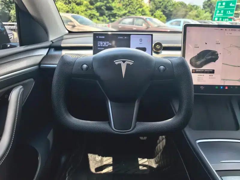 Model Y 2021 Long Range All-Wheel Drive 3D3/3D7 — миниатюра 15