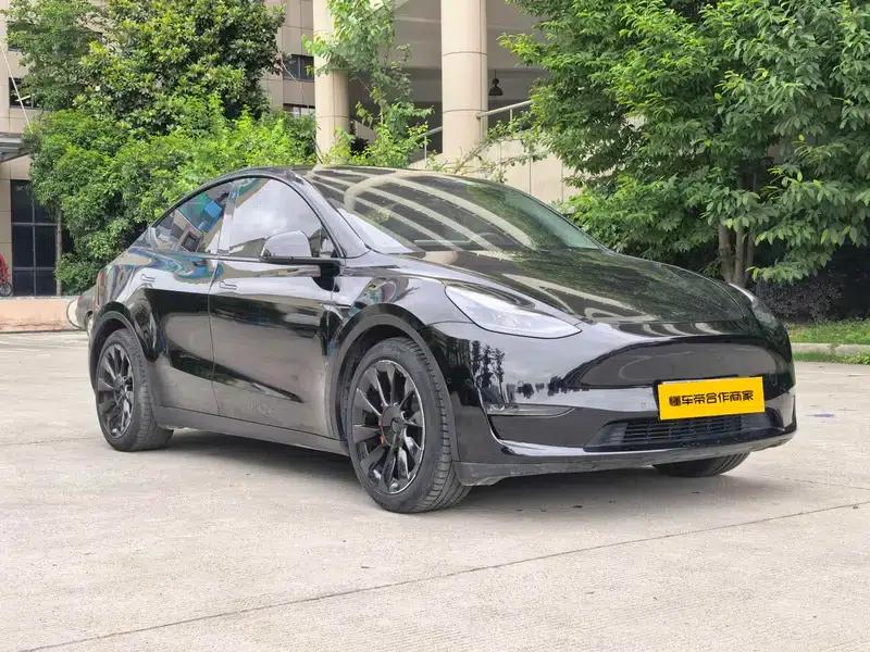 Model Y 2021 Standard Range Rear-Wheel Drive — миниатюра 3