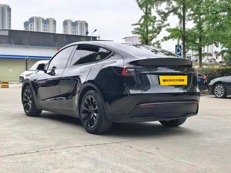 Model Y 2021 Standard Range Rear-Wheel Drive — миниатюра 4