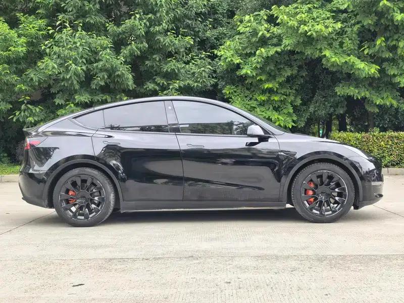 Model Y 2021 Standard Range Rear-Wheel Drive — миниатюра 7