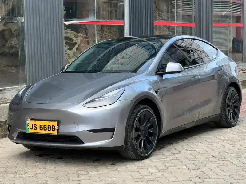 Model Y 2024 Rear-Wheel Drive — миниатюра 1