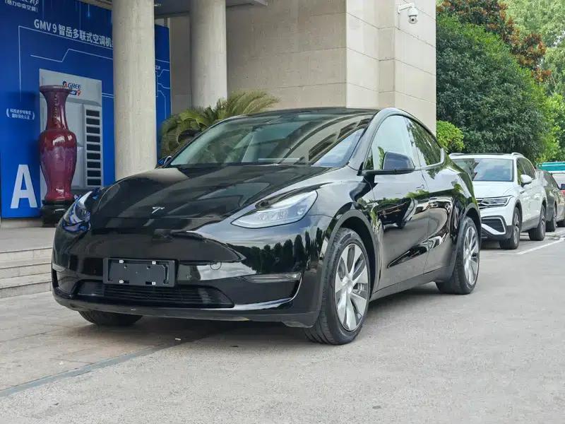 Model Y 2021 Standard Range Rear-Wheel Drive — миниатюра 1