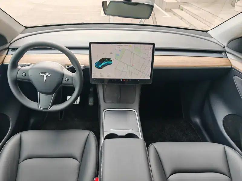 Model Y 2021 Standard Range Rear-Wheel Drive — миниатюра 13