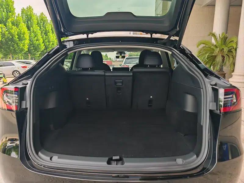 Model Y 2021 Standard Range Rear-Wheel Drive — миниатюра 20