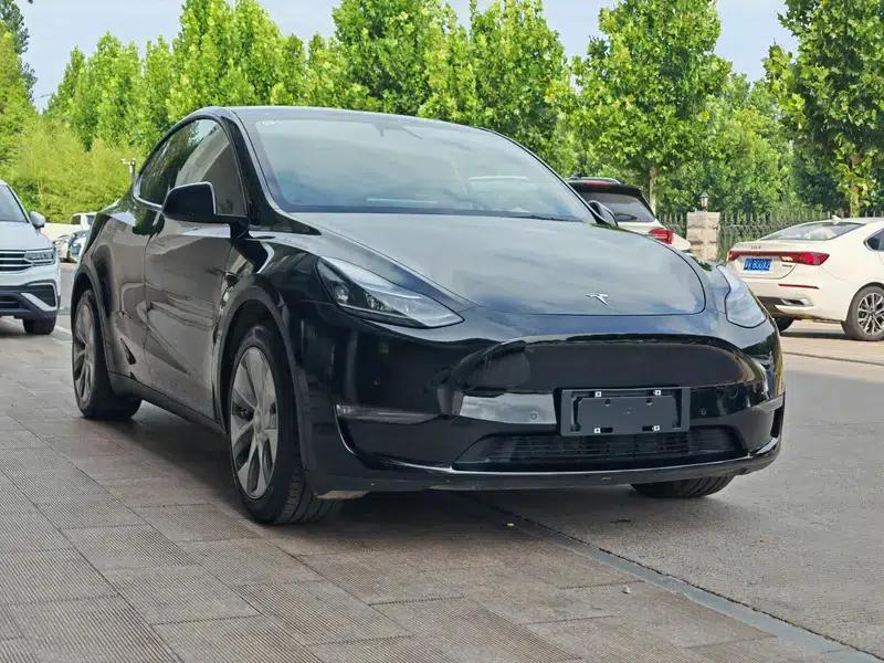 Model Y 2021 Standard Range Rear-Wheel Drive — миниатюра 3