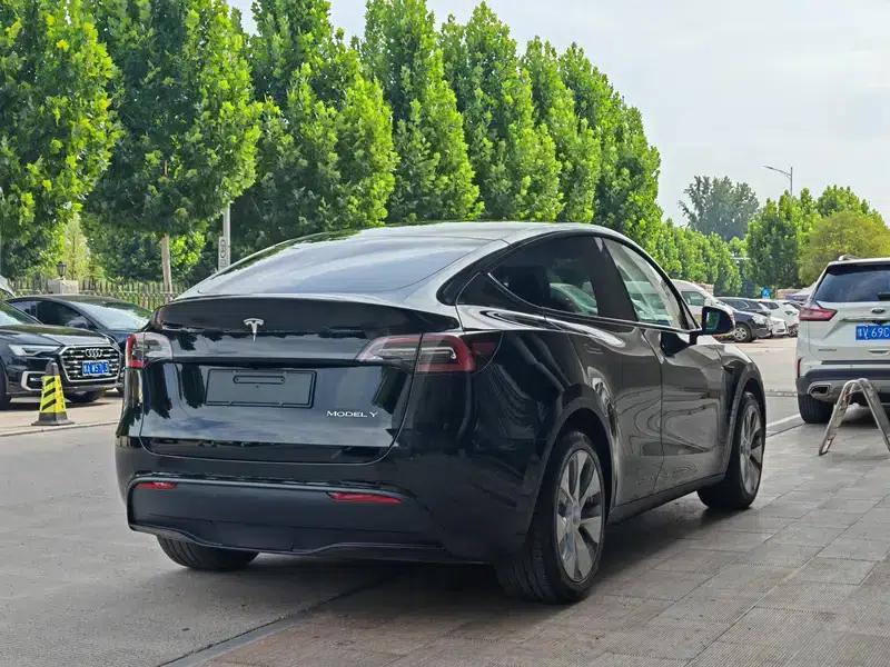 Model Y 2021 Standard Range Rear-Wheel Drive — миниатюра 6