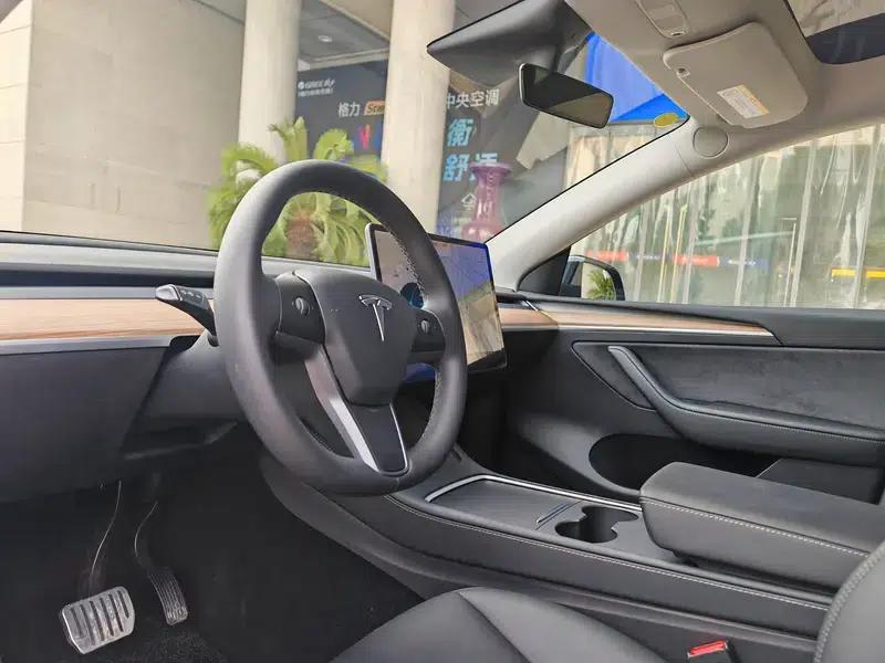 Model Y 2021 Standard Range Rear-Wheel Drive — миниатюра 10