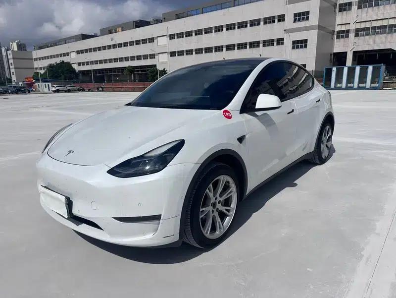 Model Y 2021 Long Range All-Wheel Drive — миниатюра 1