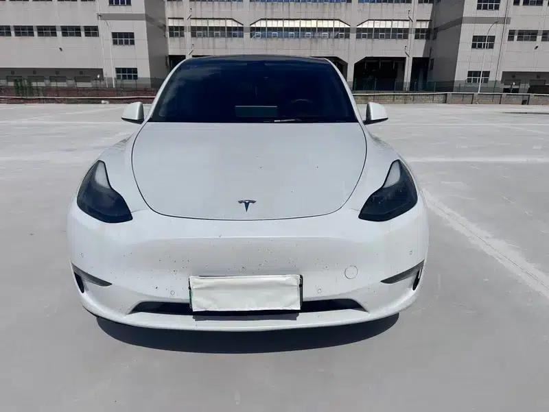 Model Y 2021 Long Range All-Wheel Drive — миниатюра 2
