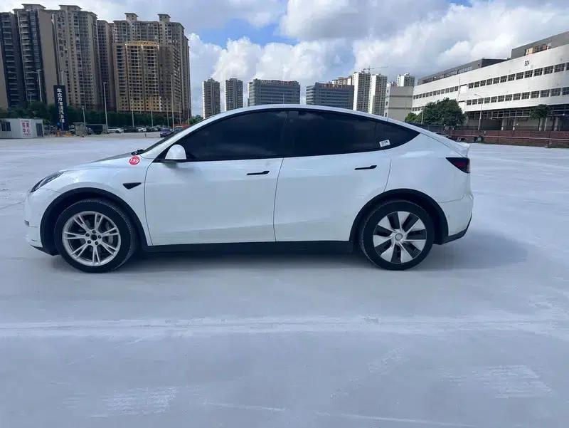 Model Y 2021 Long Range All-Wheel Drive — миниатюра 4