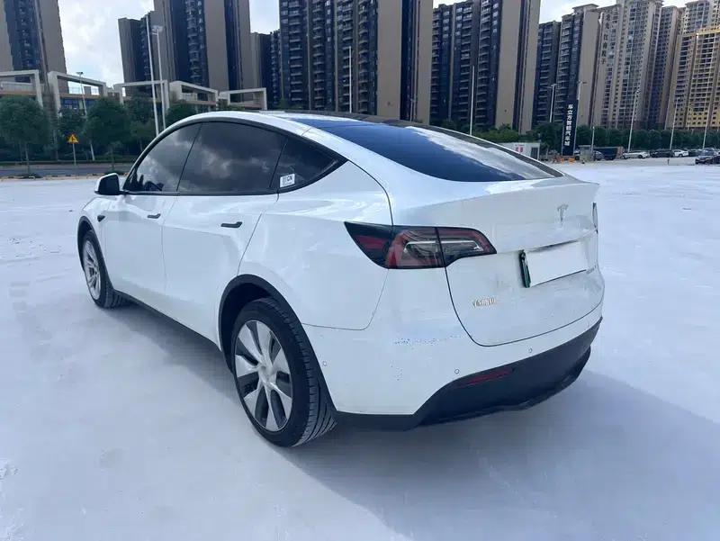 Model Y 2021 Long Range All-Wheel Drive — миниатюра 5
