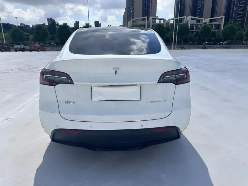 Model Y 2021 Long Range All-Wheel Drive — миниатюра 6