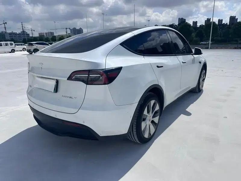 Model Y 2021 Long Range All-Wheel Drive — миниатюра 7