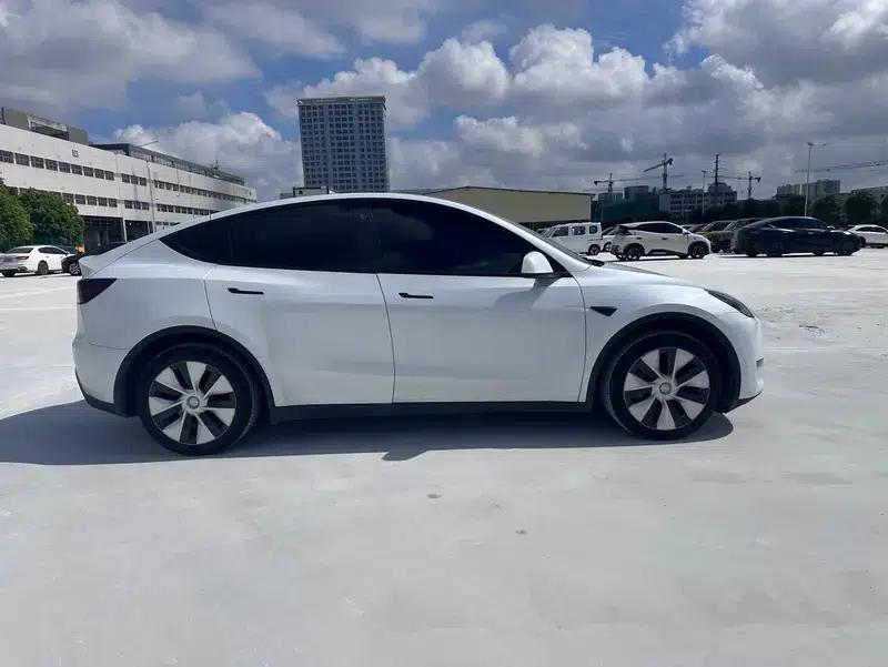 Model Y 2021 Long Range All-Wheel Drive — миниатюра 8