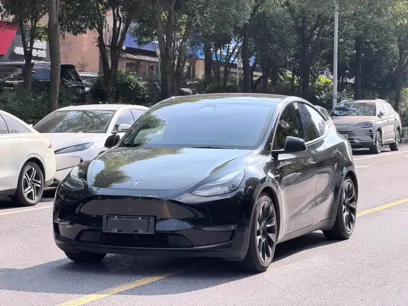 Model Y 2021 Standard Range Rear-Wheel Drive — миниатюра 1