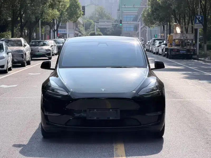 Model Y 2021 Standard Range Rear-Wheel Drive — миниатюра 2