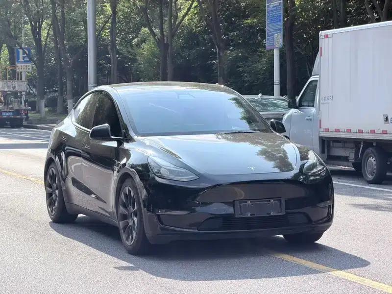 Model Y 2021 Standard Range Rear-Wheel Drive — миниатюра 3