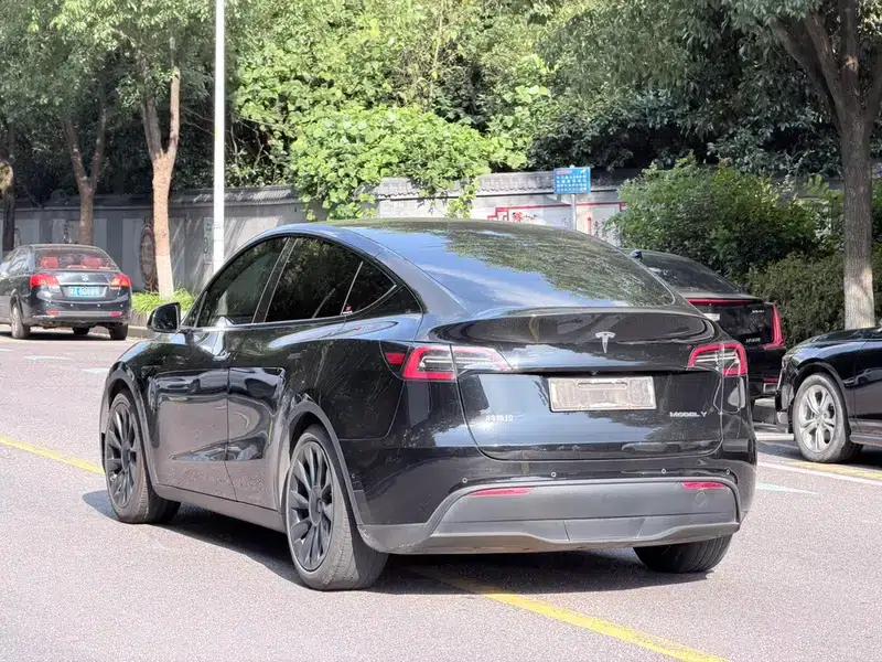 Model Y 2021 Standard Range Rear-Wheel Drive — миниатюра 4