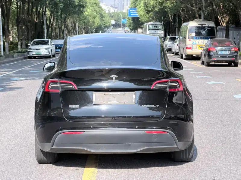 Model Y 2021 Standard Range Rear-Wheel Drive — миниатюра 5