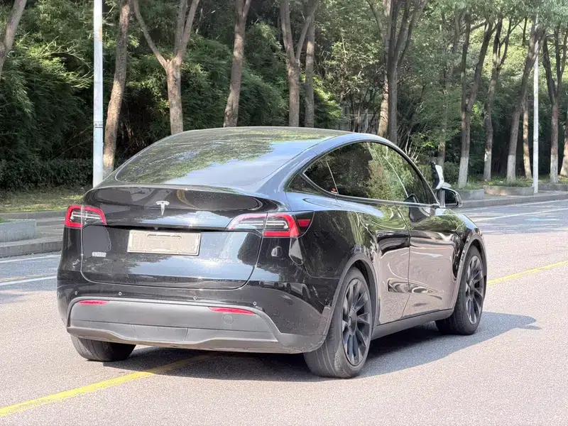 Model Y 2021 Standard Range Rear-Wheel Drive — миниатюра 6