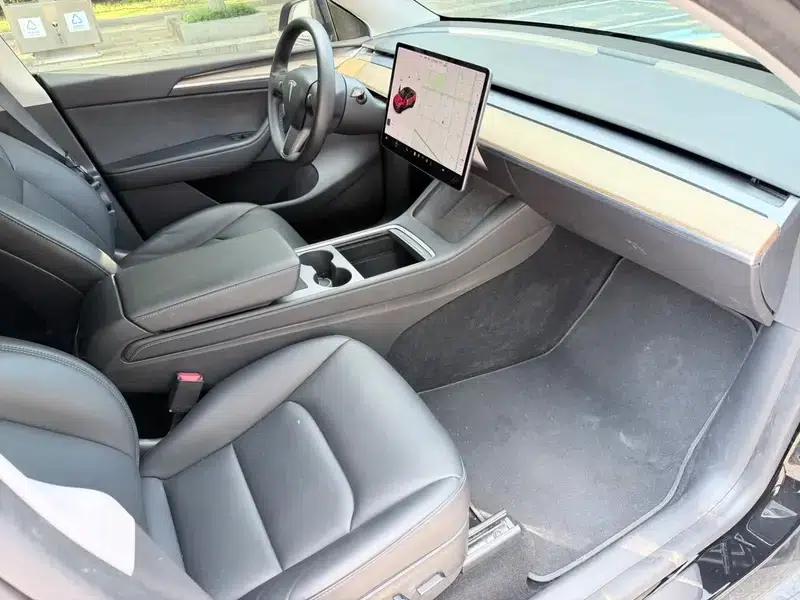 Model Y 2021 Standard Range Rear-Wheel Drive — миниатюра 8
