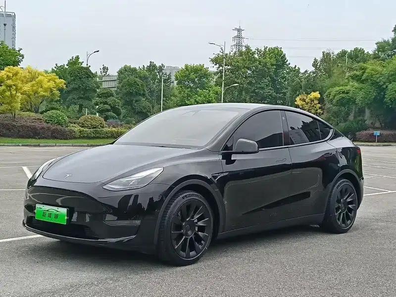 Model Y 2021 Standard Range Rear-Wheel Drive — миниатюра 1