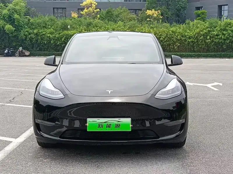 Model Y 2021 Standard Range Rear-Wheel Drive — миниатюра 2