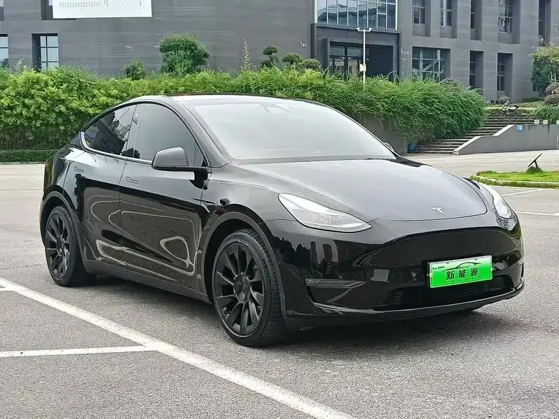 Model Y 2021 Standard Range Rear-Wheel Drive — миниатюра 3