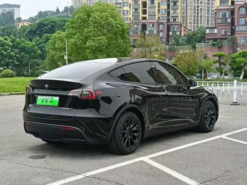Model Y 2021 Standard Range Rear-Wheel Drive — миниатюра 6