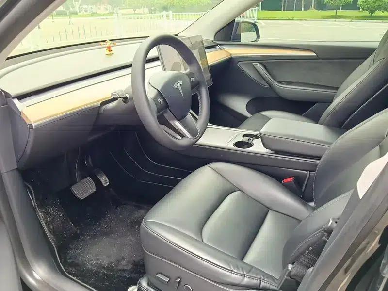 Model Y 2021 Standard Range Rear-Wheel Drive — миниатюра 8
