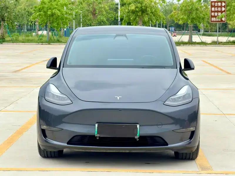 Model Y 2021 Long Range All-Wheel Drive — миниатюра 2