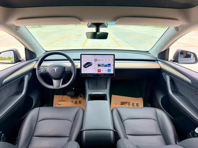 Model Y 2021 Long Range All-Wheel Drive — миниатюра 12