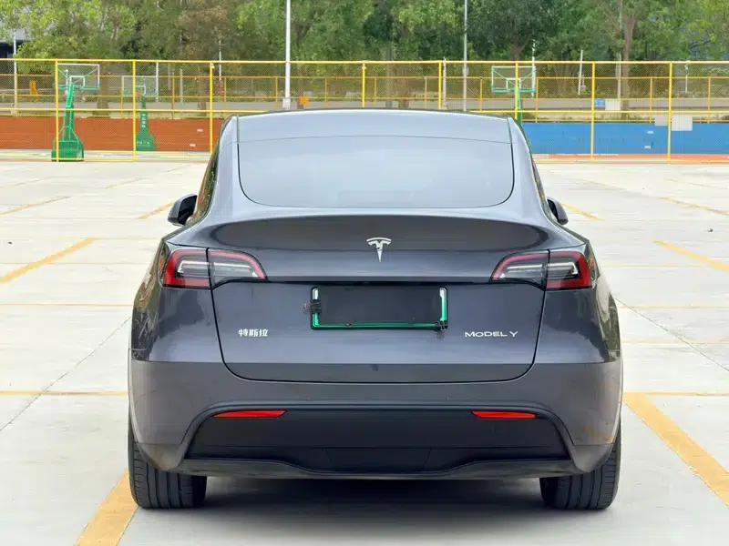 Model Y 2021 Long Range All-Wheel Drive — миниатюра 6