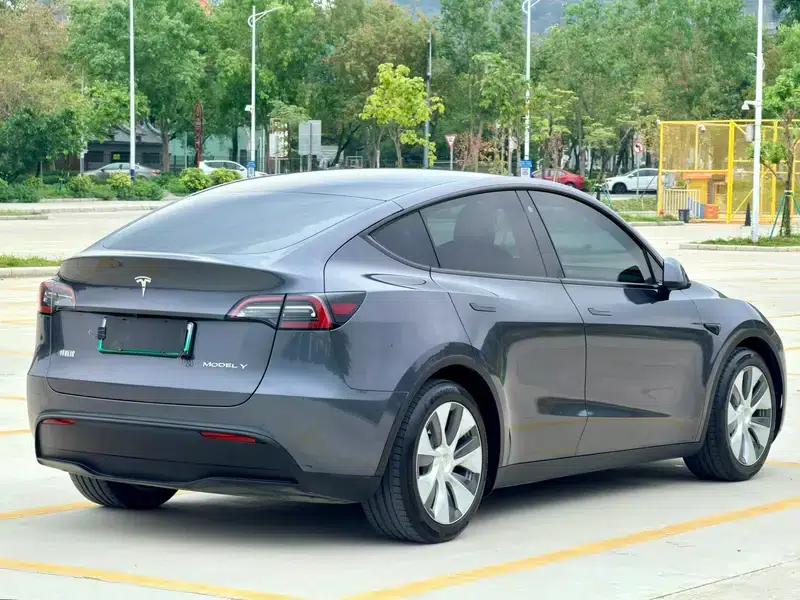 Model Y 2021 Long Range All-Wheel Drive — миниатюра 7