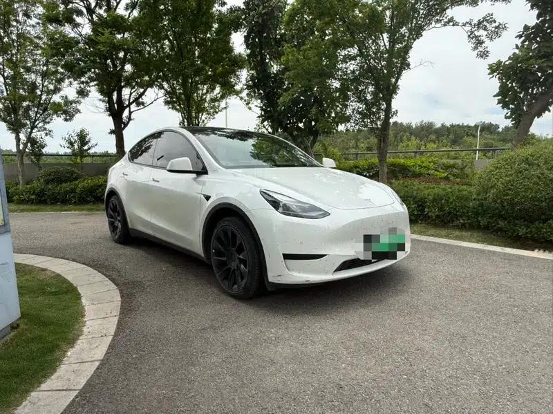 Model Y 2022 Rear-Wheel Drive — миниатюра 3