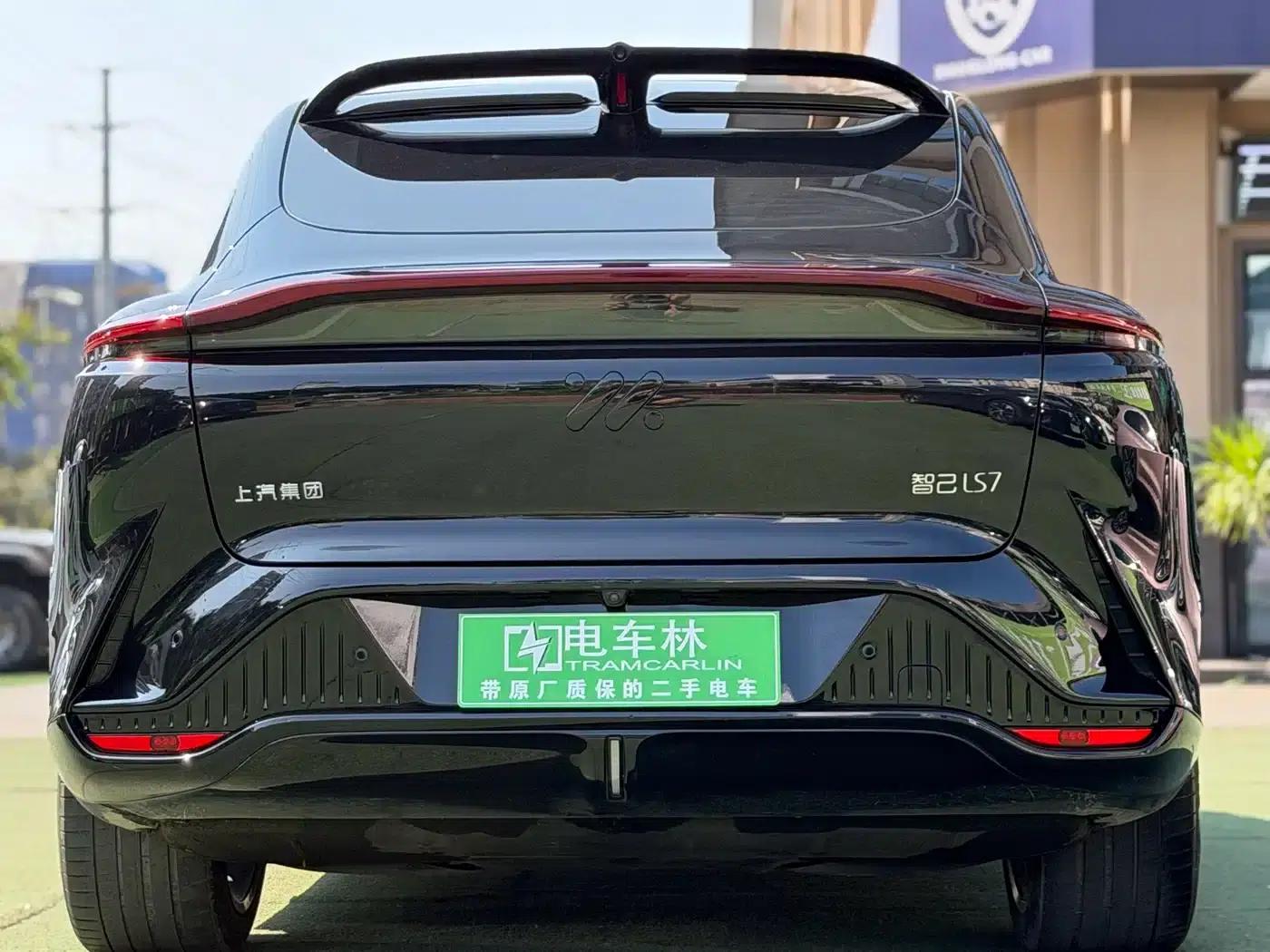 2023 Smart LS7 90kWh Elite Rear-Wheel Drive Edition — миниатюра 21