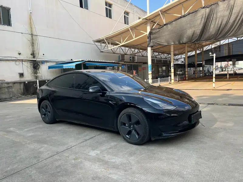 Model 3 2021 Standard Range Rear-Wheel Drive Upgrade 3D1 — миниатюра 3