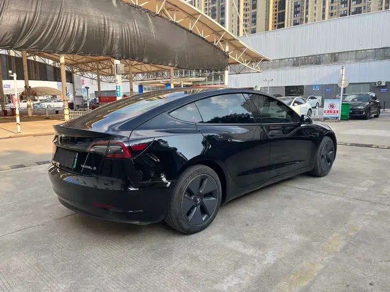 Model 3 2021 Standard Range Rear-Wheel Drive Upgrade 3D1 — миниатюра 7